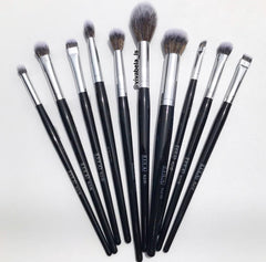 KIT DE BROCHAS ECLIPSE LULA