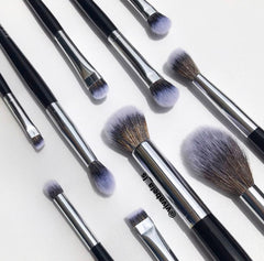 KIT DE BROCHAS ECLIPSE LULA